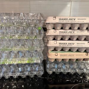 (Empty) Cardboard Plastic Egg Cartons Lot 10 For Reuse Crafts Pasture Rise Proje